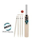 Gunn & Moore Accessories GM Diamond Cricket Set