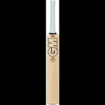 Gunn & Moore Cricket Bats GM Adult Cricket Bat - Icon Dxm Signature Ttnow SH