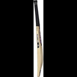 Gunn & Moore Cricket Bats SH / 2.9 GM Bat Chroma Dxm Signature Le Ttnow
