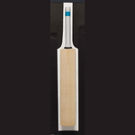 Gunn & Moore Cricket Bats SH / 2.9 GM Chroma Dxm Signature Ttnow Adult Cricket Bat