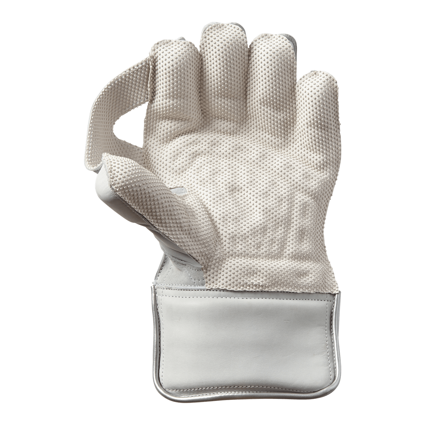 Gunn & Moore WicketKeeping Adult GM Mythos 909 Cricket Wicketkeeping Gloves