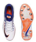 Nike Footwear Nike Domain 2 Spike Cricket Shoes
