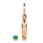 PUMA Cricket Bats PUMA Evospeed Cricket Bat Junior