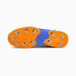 Puma Footwear Puma 19.2 Spike Cricket Shoes