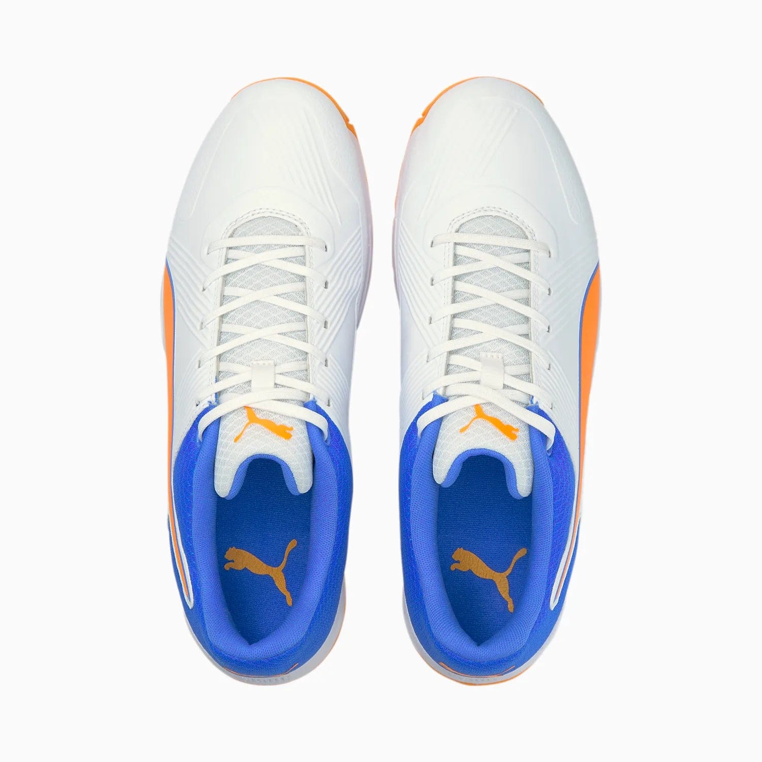 Puma Footwear Puma 19.2 Spike Cricket Shoes