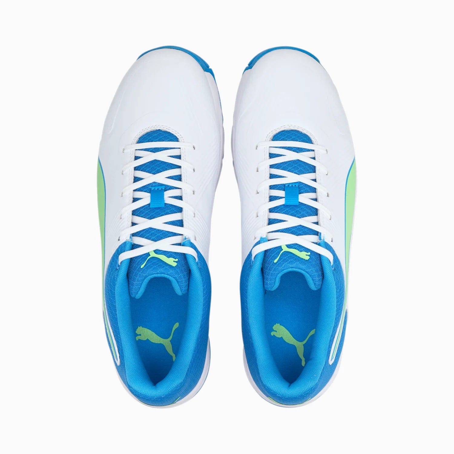 Puma Footwear Puma 19.2 Spike Cricket Shoes