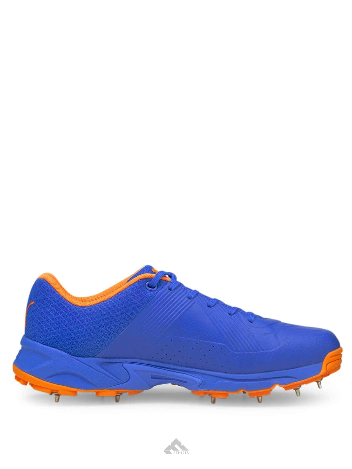 Puma Footwear Puma 19.2 Spike Cricket Shoes