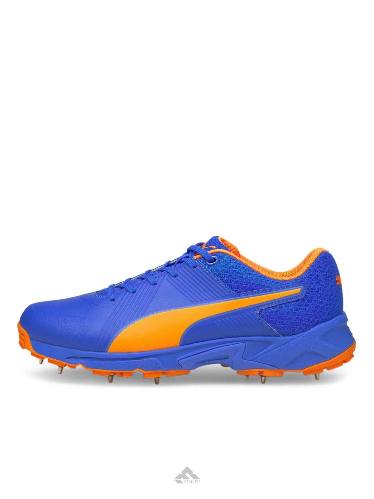 Puma Footwear Puma 19.2 Spike Cricket Shoes