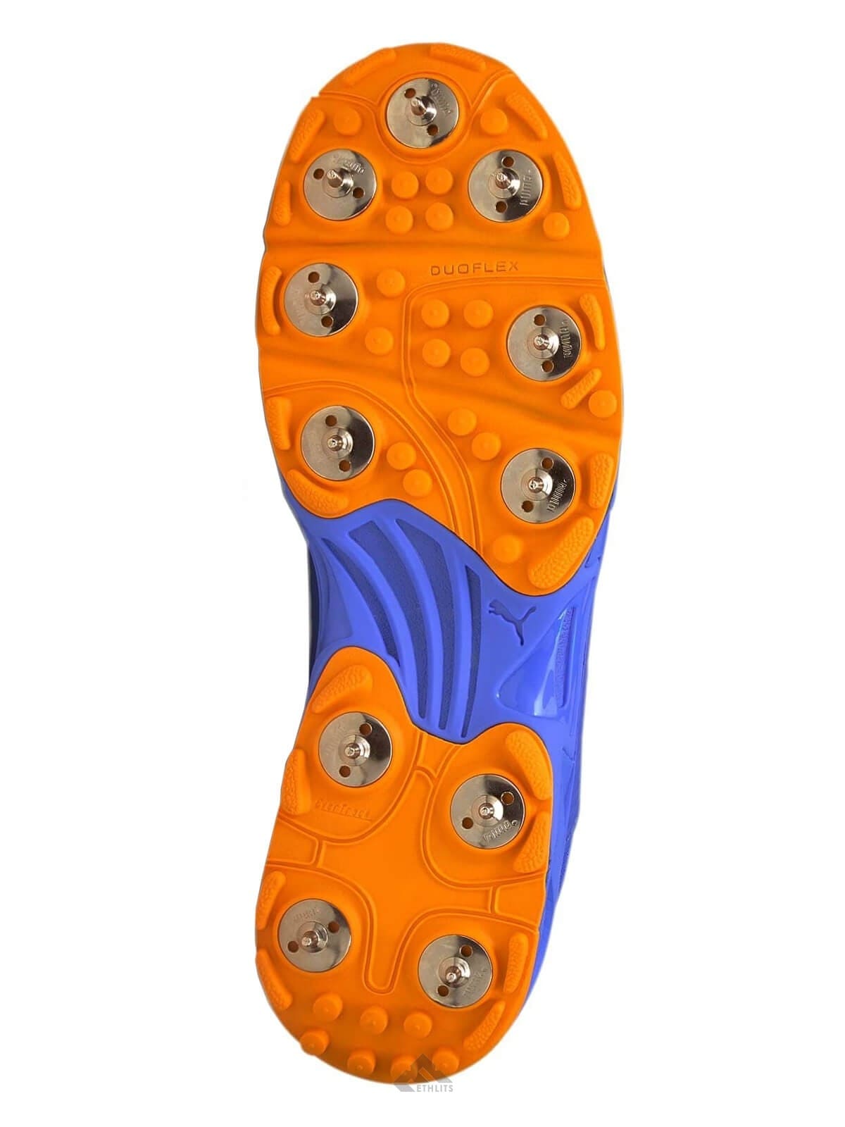 Puma Footwear Puma 19.2 Spike Cricket Shoes