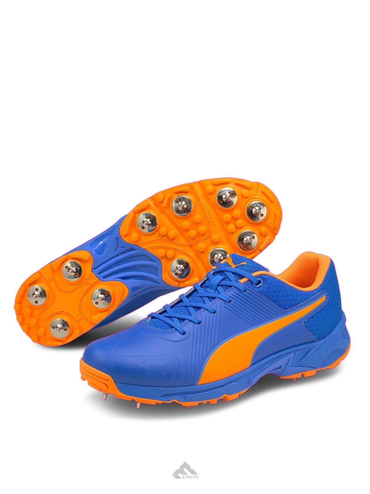 Puma Footwear Puma 19.2 Spike Cricket Shoes