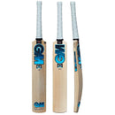 SS Cricket Bats GM Junior Cricket Bat - Diamond Dxm 404 Ttnow