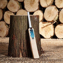 SS Cricket Bats GM Junior Cricket Bat - Diamond Dxm 404 Ttnow