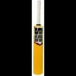 SS Cricket Bats SS Plastic Cricket Bat