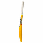 SS Cricket Bats SS Plastic Cricket Bat