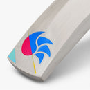 WSC Cricket Bats 6 DSC Intense Assault Junior Cricket Bat