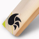 WSC Cricket Bats DSC Condor Flite Adult Cricket Bat